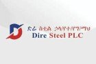 Dire Steel PLC Logo